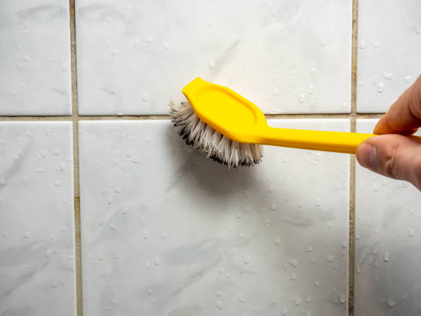 Best Toxic Mold Removal  in Navajo, NM